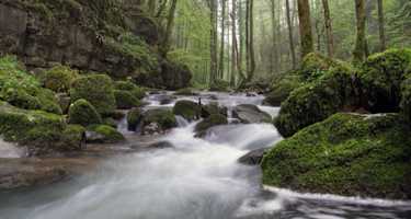 der rauschende Ibach im Chaltbrunnental