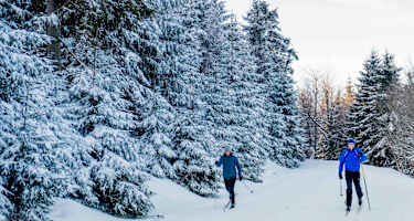 Langlaufen im Thüringer Wald - immer ein besonderes Erlebnis
