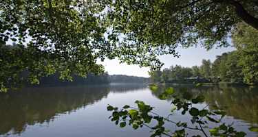 Goldsteig - Südvariante - Etappe 9: Von Neunburg vorm Wald nach Mappach