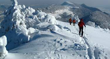 Auf dem Gipfel der Hasenmatt