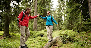 Wandern am Harzer-Hexen-Stieg.
