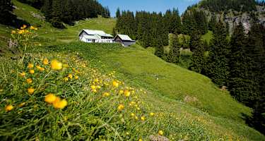 Gastfreundliche Einkehr unter dem Spieser: die Hirschalpe