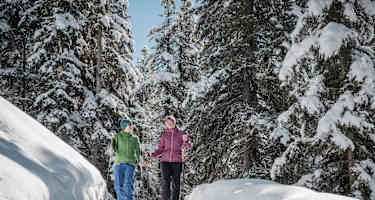 Die Wanderung führt durch den verschneiten Zirbenwald aufwärts.