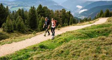 Wandern zwischen der Waldgrenze und dem Latemar