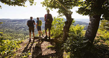 Aussicht vom Gräbelesberg