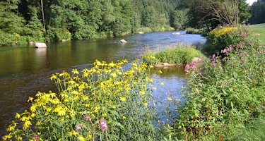 Goldsteig - Südvariante - Etappe 21: Von der Schrottenbaummühle nach Ruderting