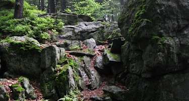 Goldsteig - Nordvariante - Etappe 10: Von Herzogau nach Furth im Wald