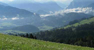 Blick in den Bregenzer Wald