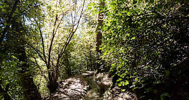 Der Ilswaal in Schlanders