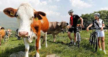 Natur pur bei der Isone Route.