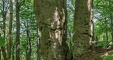 Adam und Eva am Ith-Hils-Weg