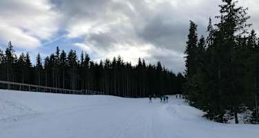 Joglland-Loipe Sankt Jakob im Walde