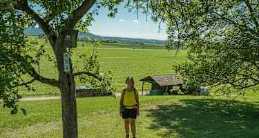 Zu Beginn führt das Kapellenwegle durch schöne Streuobstwiesen.