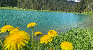Der Herzsee im Schwarzwassertal
