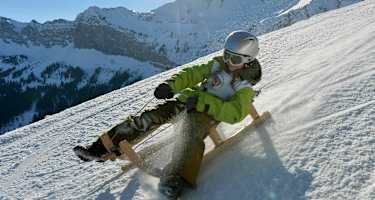 Schlittelvergnügen auf der Klewenalp
