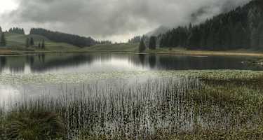Bei Regen ist es am Seewaldsee besonders schön - die Stimmung ist einfach mystisch