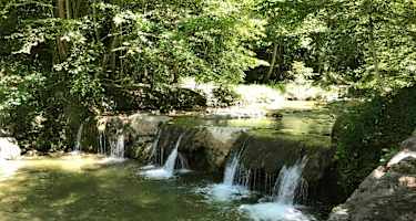Schöne Wasserwelten am Küsnachter Tobel