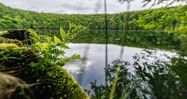 DER HOCHRHÖNER® Kuppenrhön - Etappe 9: Von Bernshausen nach Bad Salzungen