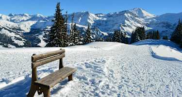 Ein Platz an der Sonne