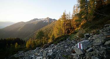 Blick auf die Tessiner Alpen