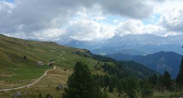 Über die schönen Almwiesen mit den typischen Heuschnupfen am Fuße des Peitlerkofels.