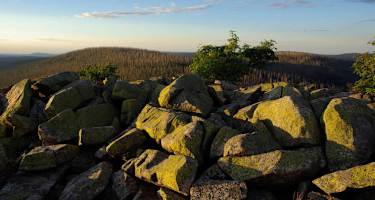 Goldsteig - Nordvariante - Etappe 17: Vom Lusen nach Mauth