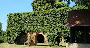 Klosterruine Himmelpfort