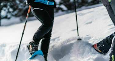 Der Waldbergbauerweg im Winter