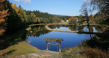 Goldsteig - Nordvariante - Etappe 19: Von Mauth nach Philippsreut