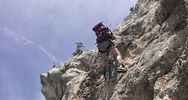 In der Variante "Blutspur"