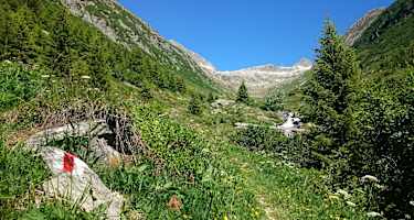 Trailrun: Oberalppass - Sedrun