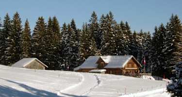 Schneeschuhtour Oberdorf - Gamperfin