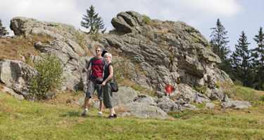 Goldsteig - Nordvariante - Etappe 7: Von Tännesberg nach Oberviechtach