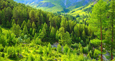 Von Scuol ins Val Sinestra