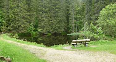 Wanderung zum Großen Falkenstein