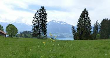 Panoramawanderung Bluemeturm