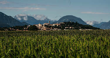 Panorama San Daniele