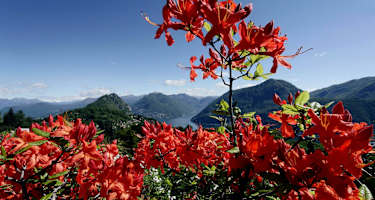 Parco San Grato in Carona