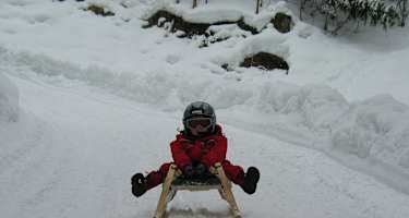 Von der Talstation Pertisau zur Rodlhütte Pertisau
