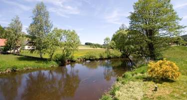 Goldsteig - Nordvariante - Etappe 6: Von Leuchtenberg nach Tännesberg