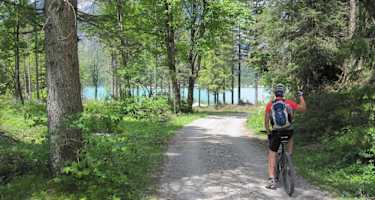 Kurz vor dem Plansee