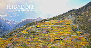 Reblehrpfad Visp und Tärbiner Kulturweg