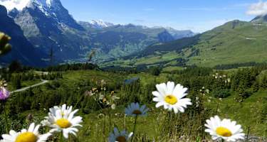 Rundwanderung Reichenbachtal