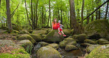 Goldsteig - Südvariante - Etappe 12: Von Falkenstein nach Wiesenfelden