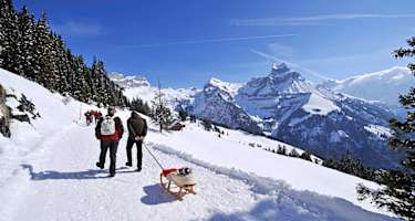 Was gibt es schöneres als Kind zu sein