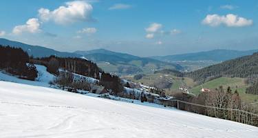 Während im Zartener Becken bereits der Frühling Einzug hält, bieten die nordseitigen Abfahrten am Hinterwaldkopf noch gute Bedingungen.