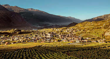 Herbstimmung über den Rebbergen von Salgesch