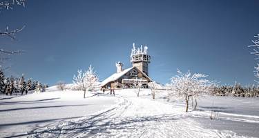 Der Schneekopf mit seinem Aussichtsturm