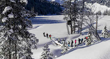 Schneeschuhwandern Melköde Schwarzwassertal - Schwarzwasserhütte - Gerachsattel