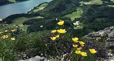 Aussicht vom Frauenkopf auf den Fuschlsee